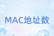 如何通过MAC地址查询电脑的相关信息（探索MAC地址查询方法，揭秘电脑背后的秘密）