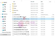 苹果电脑系统安装教程（详解苹果电脑使用U盘进行系统安装的步骤和技巧）