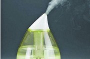 空气加湿器的作用和坏处（探究空气加湿器的优势和不足）