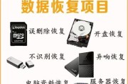 使用U盘进行数据恢复的有效方法（掌握U盘数据恢复的关键技巧）