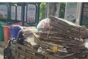 如何成为废品回收站的新手（掌握废品回收站操作技巧，成为高效回收员）