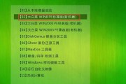 大白菜U盘制作教程（利用大白菜废料，打造独一无二的U盘）