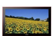 深入解析LGLA6200电视（探索LGLA6200电视的画质、音效、智能功能及用户体验）