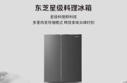 东芝冰箱质量如何？（探寻东芝冰箱的品质和性能表现）