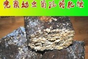 机器甲虫魔光球（超越想象力的机械战士，魔光球震撼登场）