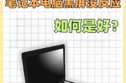 电脑打开后黑屏解决方法大全（急救！电脑开机后屏幕一片漆黑，不要慌，教你轻松解决！）