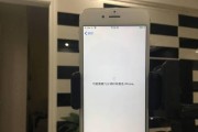 苹果X进入刷机模式方法揭秘（一键轻松进入刷机模式，解决刷机难题）